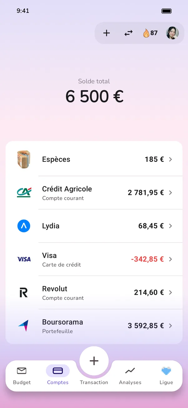 Tous les comptes en un coup d’œil : espèces, compte courant, carte de crédit et portefeuille d’investissement
